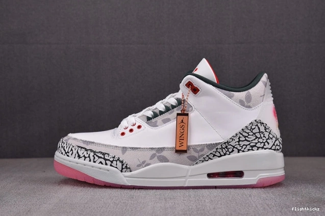 Jordan HM6993-100 Retro 3 Wings 0812